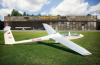 DG-1000S Glider "AKVY"