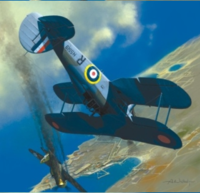 Gloster Sea Gladiator - English Fighter (Model With Laser Cut Frames)