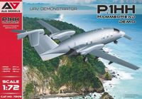 P1.HH Hammerhead UAV Demostrator